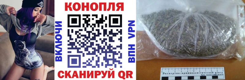 Псилоцибиновые грибы Великие Луки