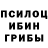 Псилоцибиновые грибы Cubensis FabarmH368Lion