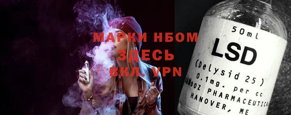 стаф Баксан