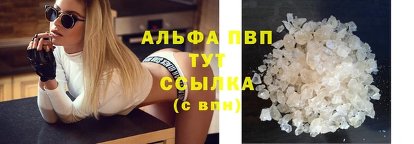 стаф Баксан