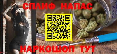 амф Гатчина