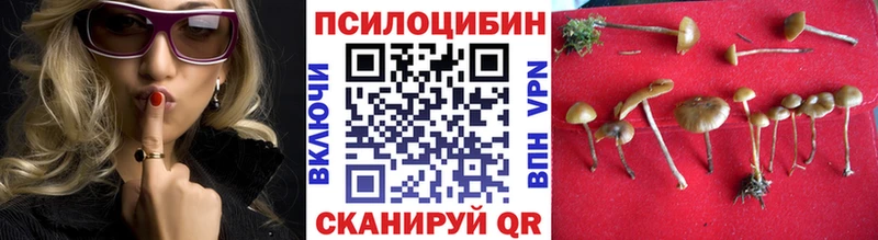 Галлюциногенные грибы Psilocybine cubensis  Великие Луки 