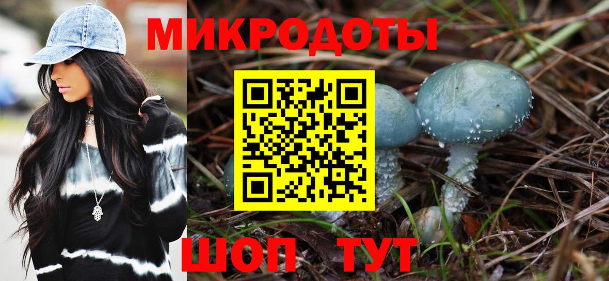 Псилоцибиновые грибы Cubensis Великие Луки
