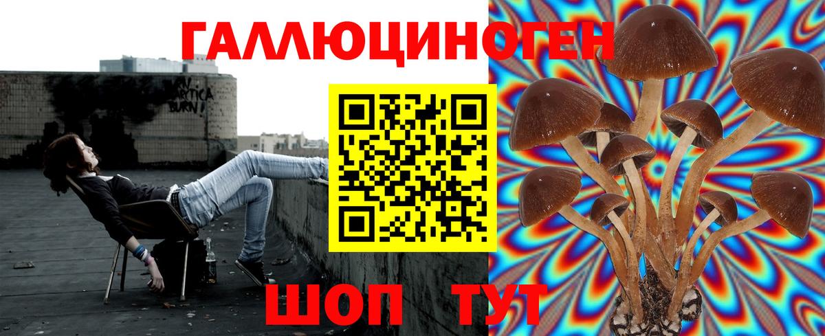 Галлюциногенные грибы MAGIC MUSHROOMS  Вход с VPN  Великие Луки 