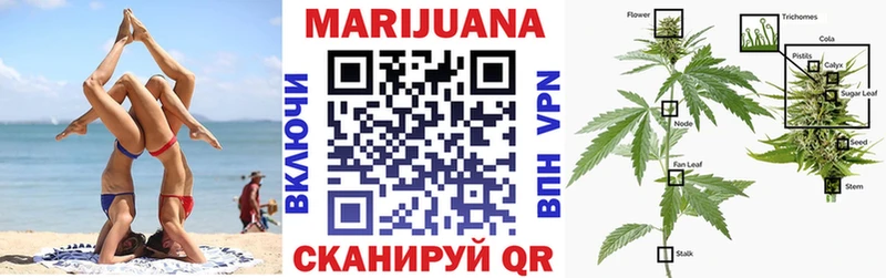 Бошки Шишки OG Kush  Великие Луки 